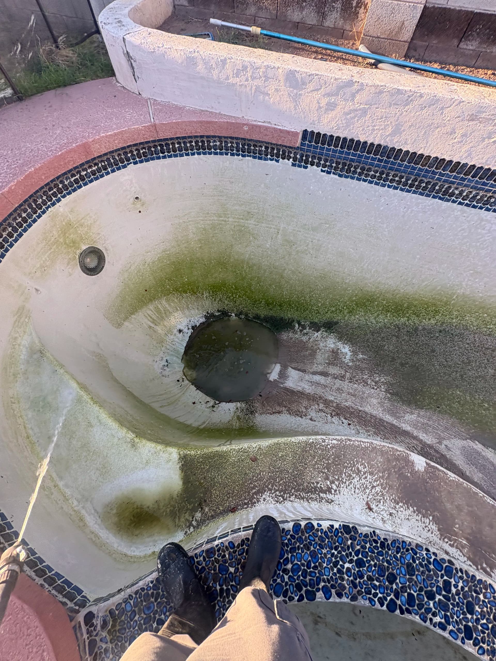 Gallery photos for Arizona Green Pool Drain and Cleanup Done Right: Image #3